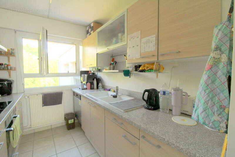 Appartement T3 dernier étage  GEX - photo 6