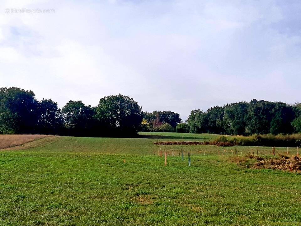 Terrain 350 m² à Verfeil  - photo 1