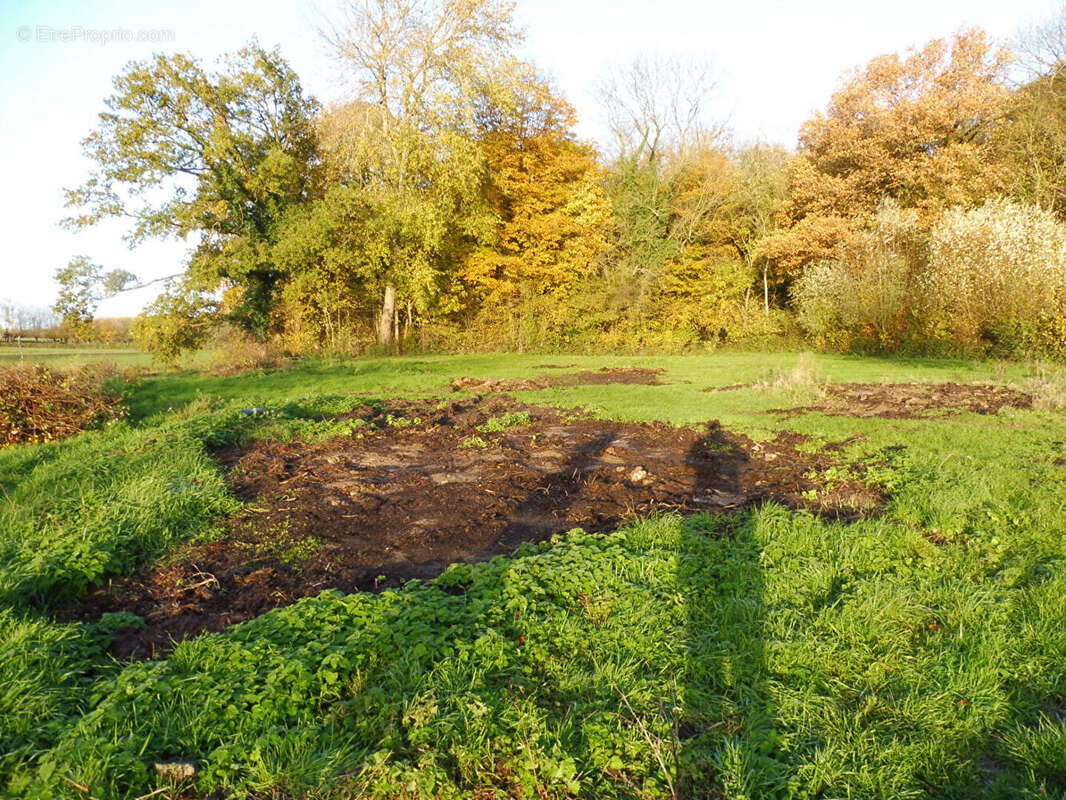 Maison à LE QUESNOY