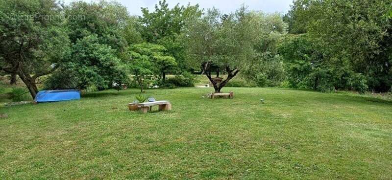 Terrain à TALMONT-SAINT-HILAIRE