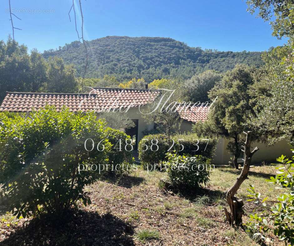 Maison à SAINT-JEAN-DU-PIN