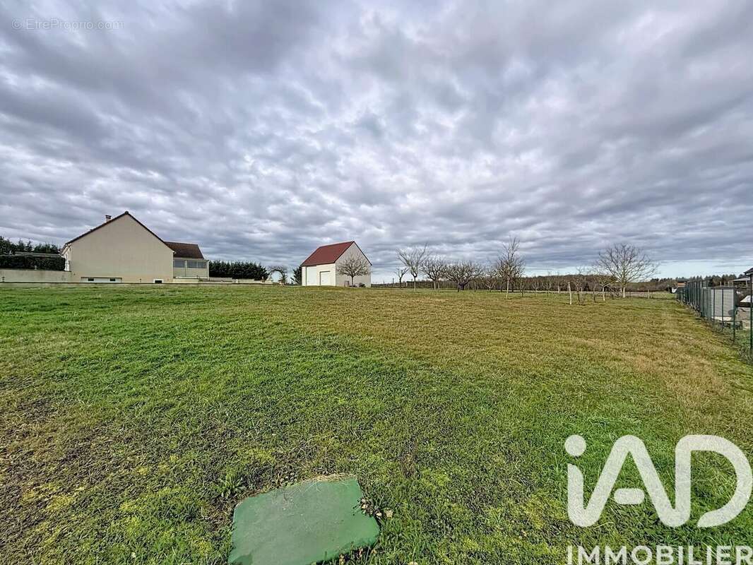 Photo 5 - Terrain à VALLIERES-LES-GRANDES