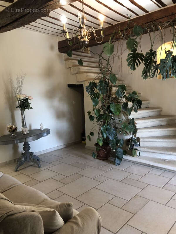 Maison et domaine viticole sur 57 hectares - vignes en aop - photo 8