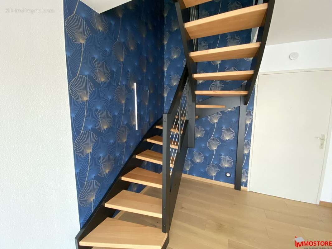 Appartement à BUSCHWILLER