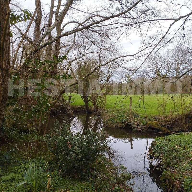 _copie-0_1715764292358 - Maison à CASSON