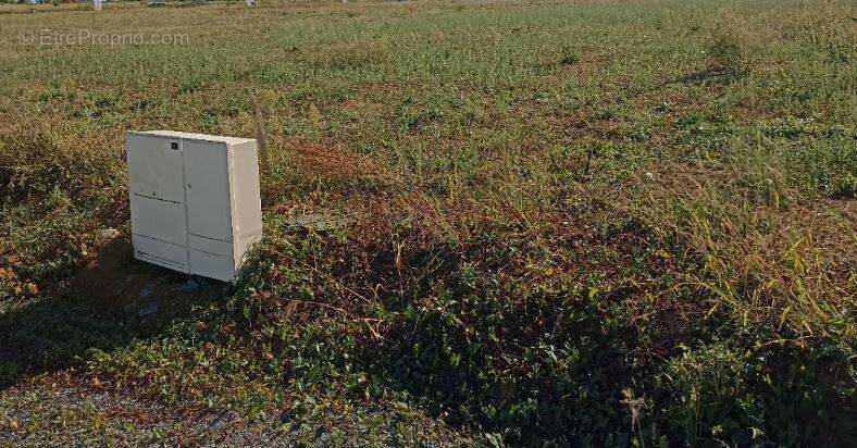 Terrain à SAINT-VIAUD