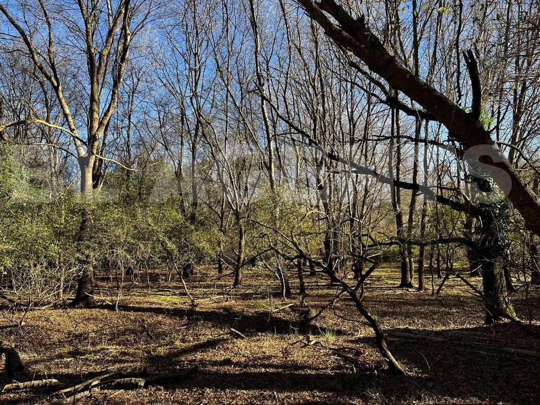 IMG_4969 - Terrain à BRAS