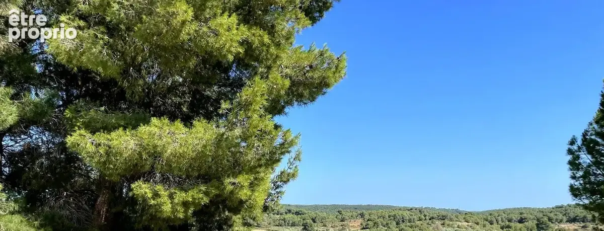 Villa 220 m² 4 chambres piscine