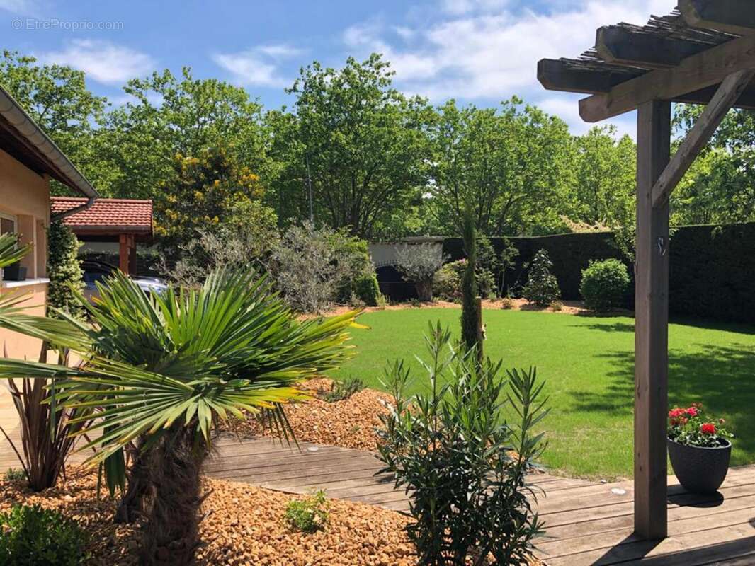 Photo 8 - Maison à LA TOUR-DE-SALVAGNY