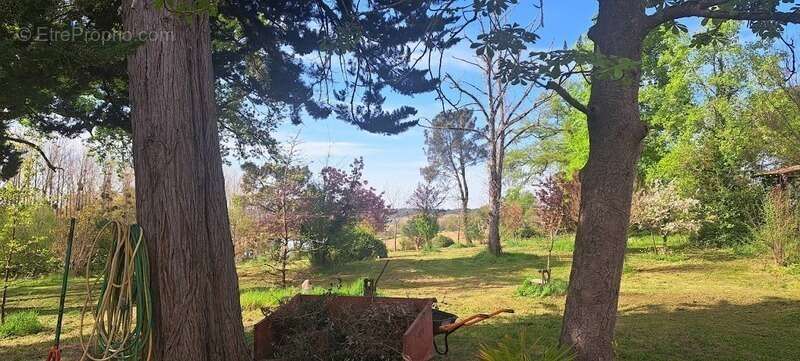 Maison à SAINTE-CHRISTIE-D&#039;ARMAGNAC