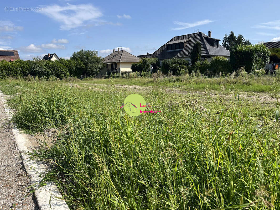 Terrain 250 m² à Eschau  - photo 2