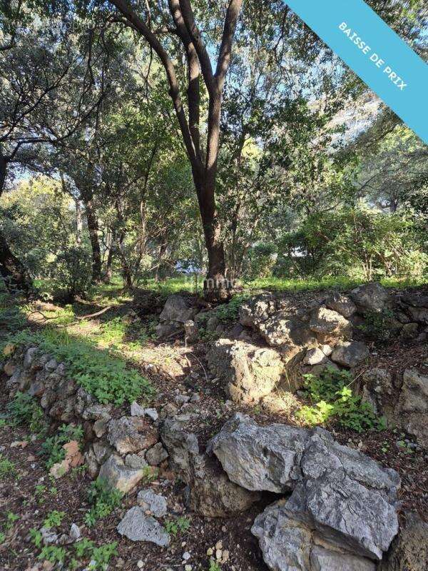 Appartement à MARSEILLE-9E