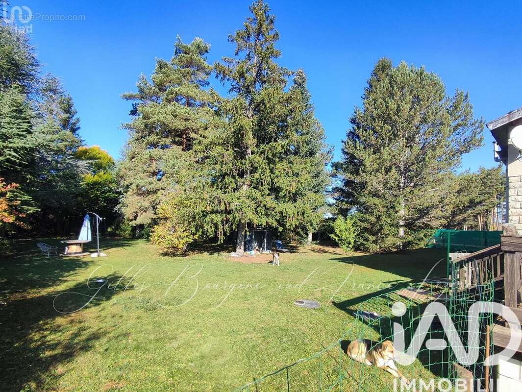 Photo 4 - Maison à LE MASSEGROS