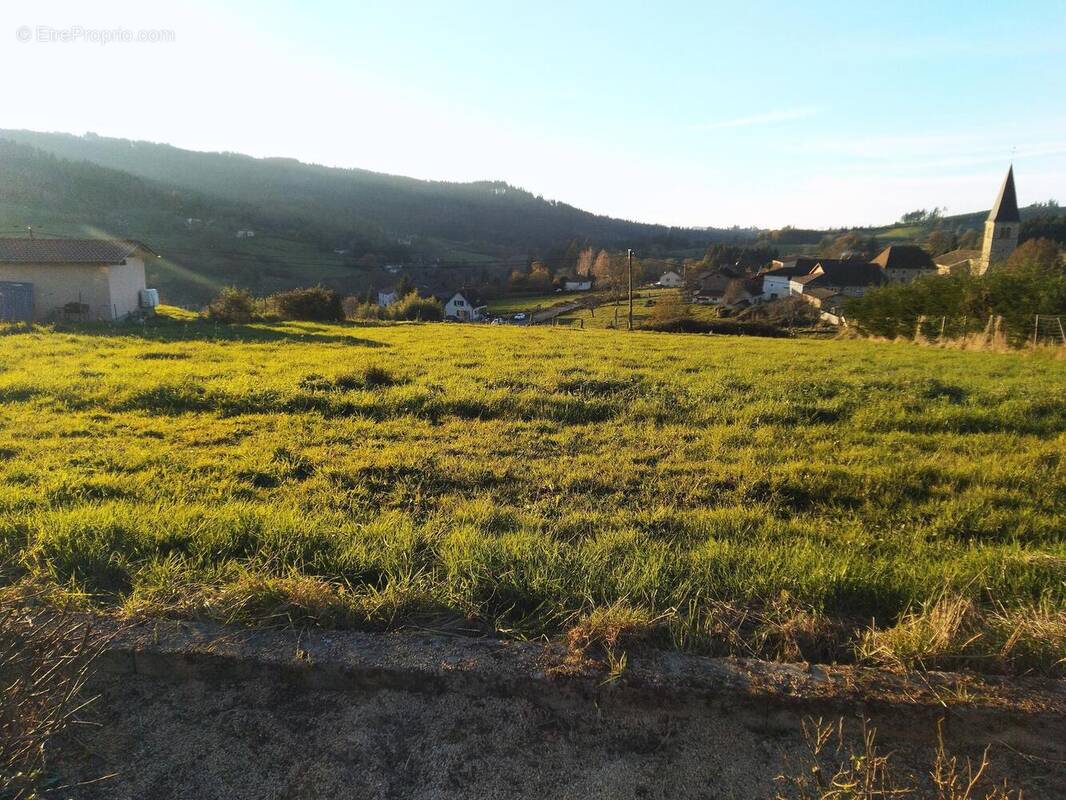 Photo 1 - Terrain à BELLEROCHE