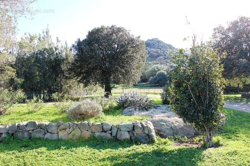 EXCLUSIVITE : Proche de L'ILE ROUSSE, Plaine du Reginu, propriété en pierre T5 161 m² sur 1.96 ha de terrain - photo 7