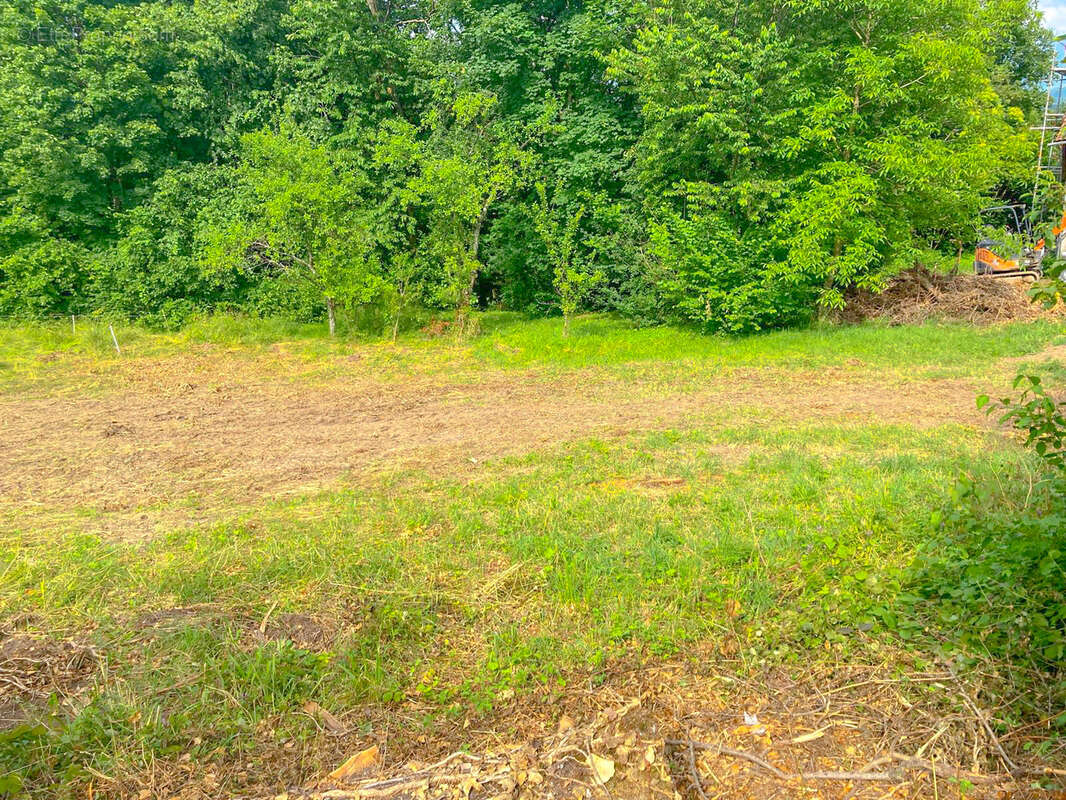 Terrain à VARCES-ALLIERES-ET-RISSET