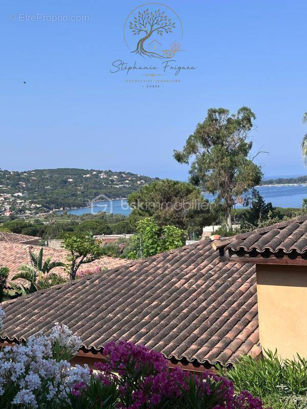 Appartement à PIETROSELLA