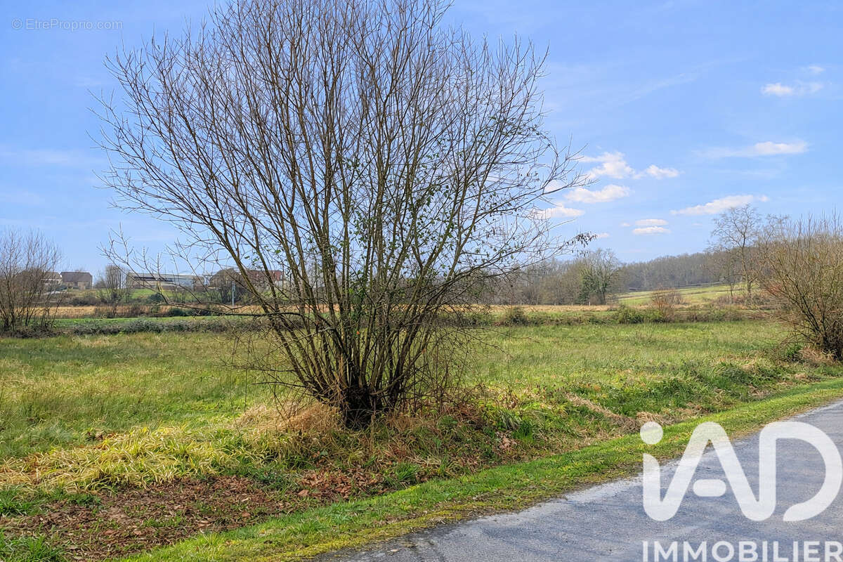 Photo 3 - Terrain à NAVARRENX