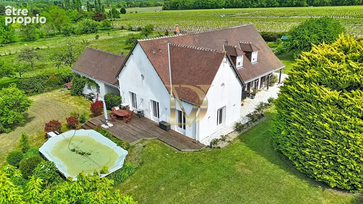 Maison 12 pièces 307 m² à vendre à Francueil (37150) - photo 3