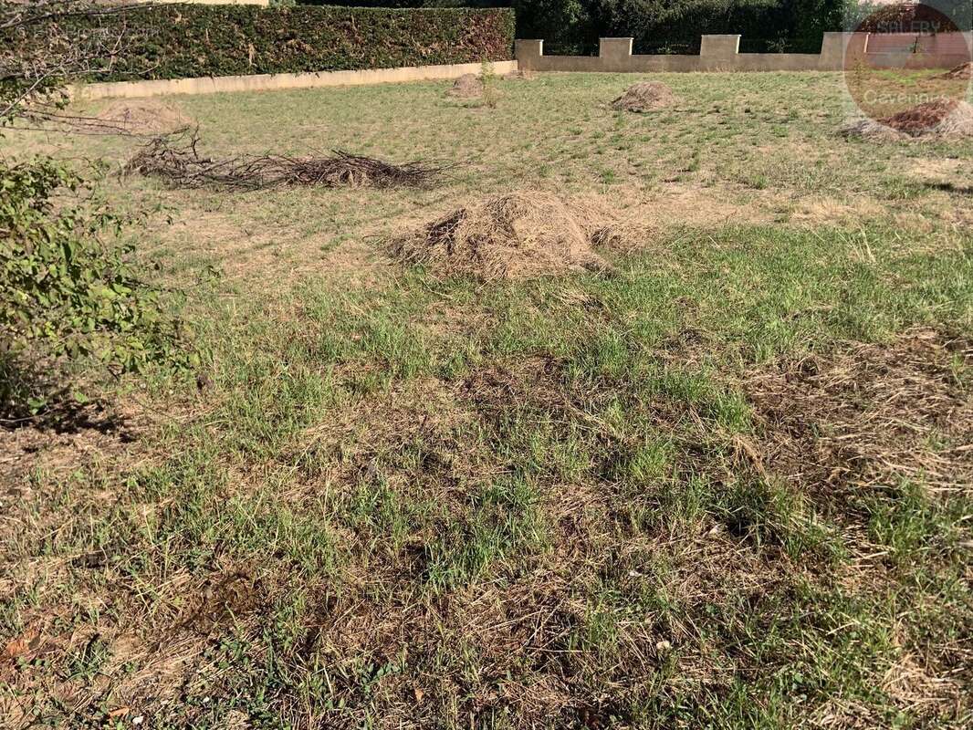 Beau terrain plat constructible de 1200 m² - photo 4