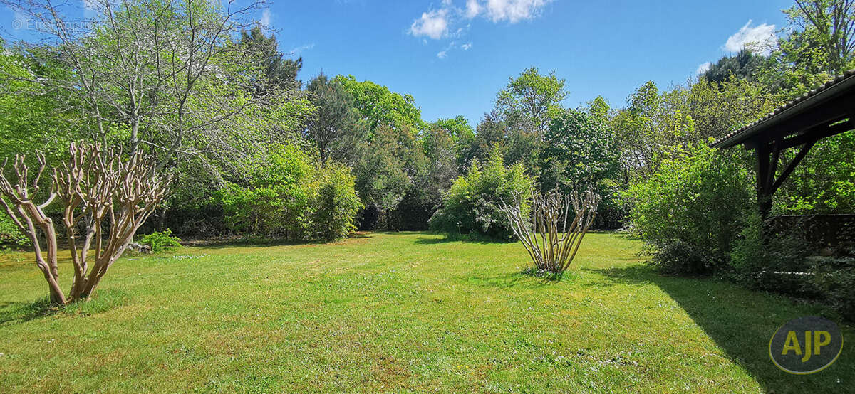 Maison à LEGE-CAP-FERRET