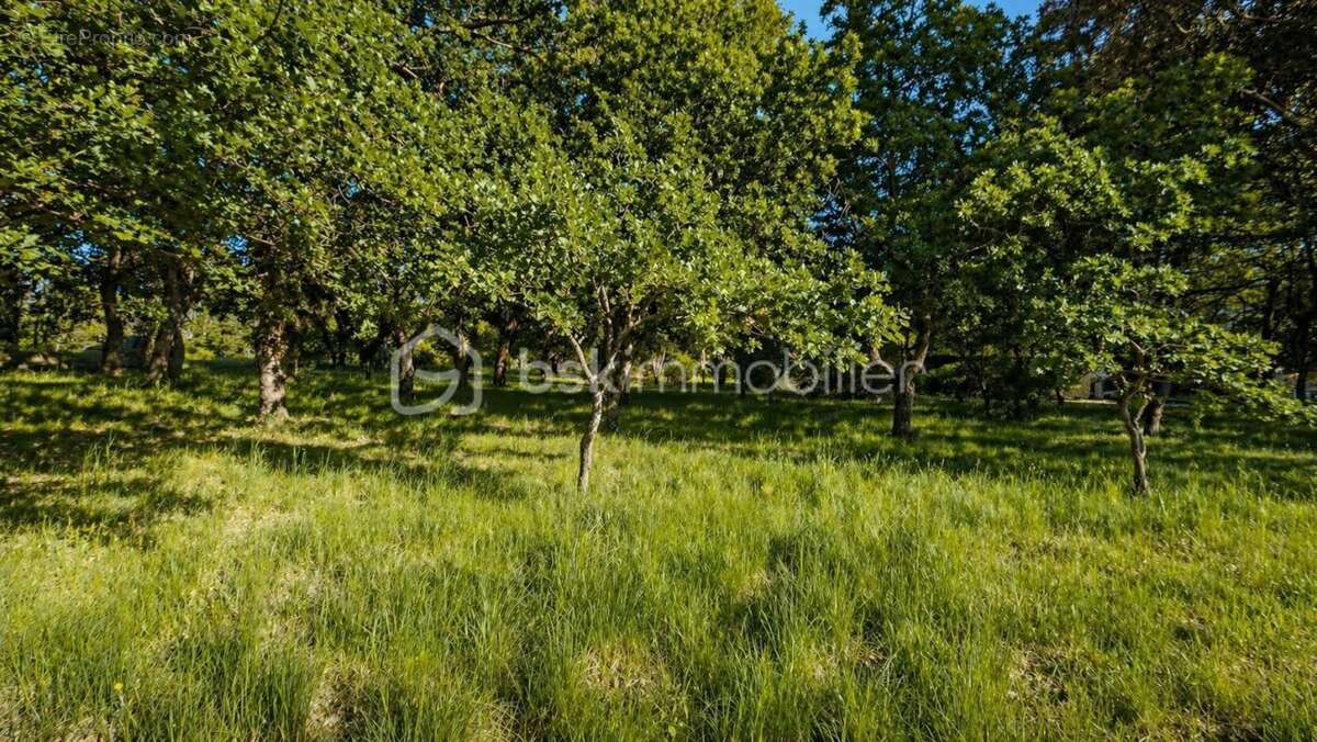 Terrain à DIEULEFIT
