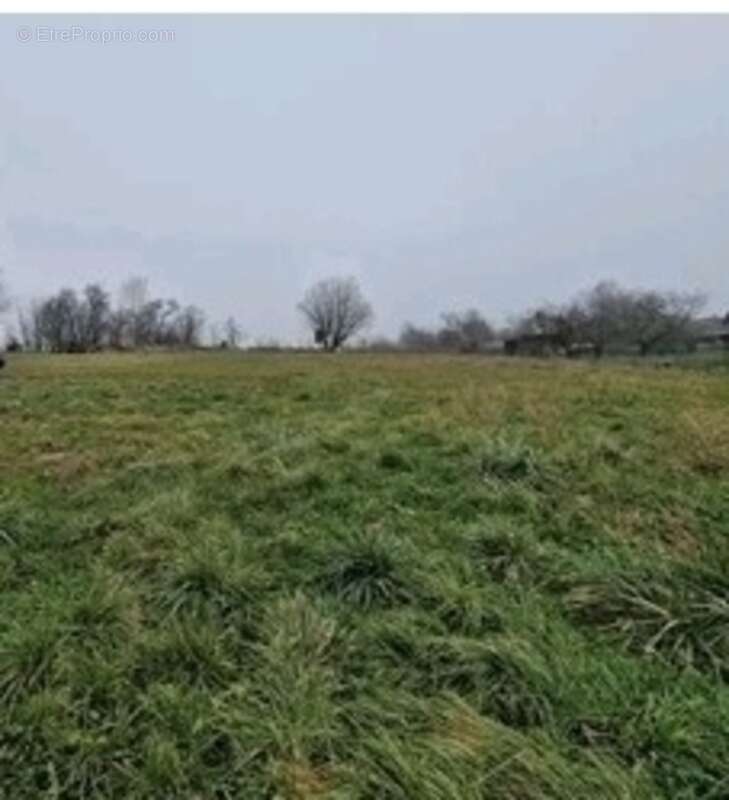 Propriete à vendre 7 pièces proche de EPINAL (88) FERME rénovée + HANGAR/GARAGE + 5000 m2 de TERRAIN - photo 10