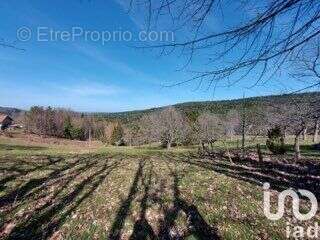 Photo 3 - Terrain à DABO