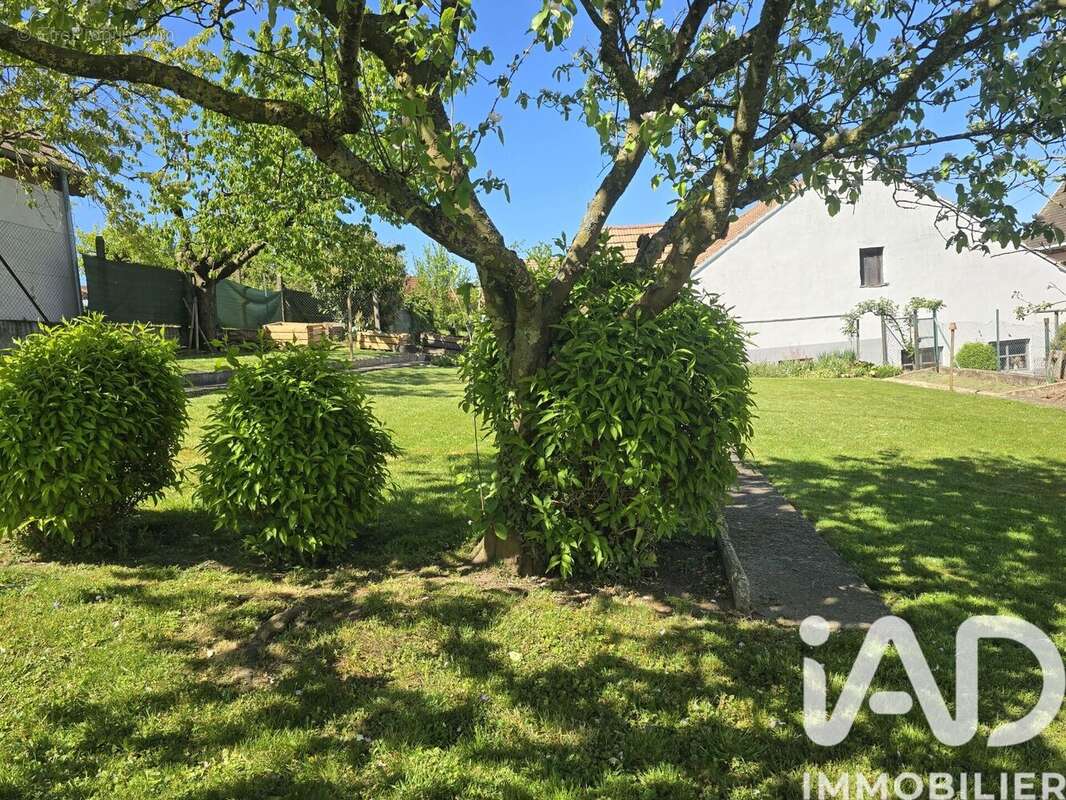 Photo 5 - Terrain à WALTENHEIM-SUR-ZORN