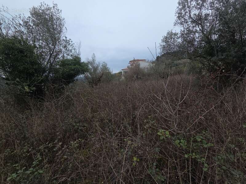 Terrain à MEYRANNES