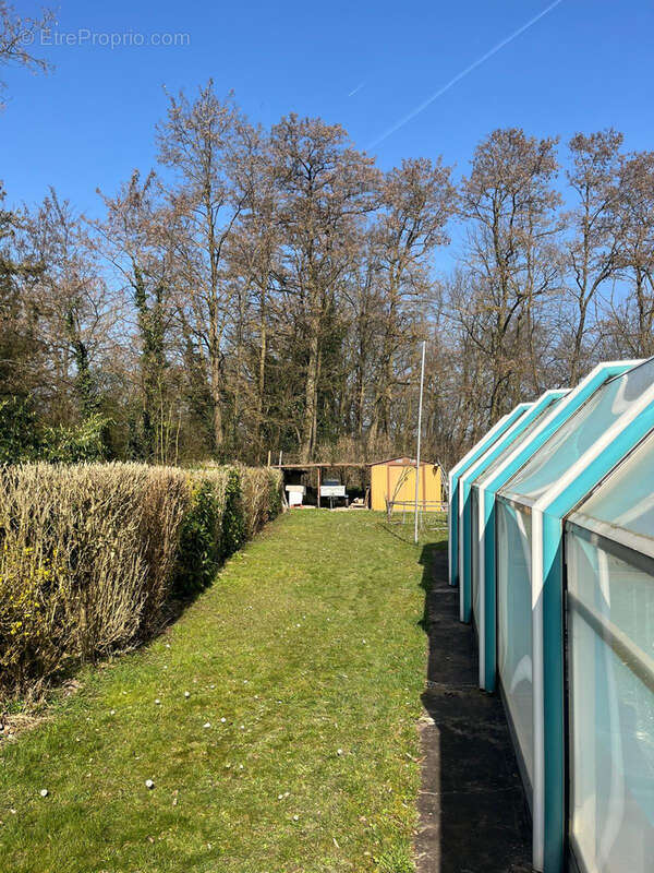 Maison à LAUTERBOURG