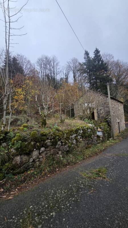 Maison à FRAISSE-SUR-AGOUT