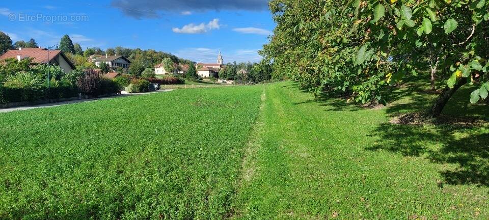Terrain à SAINT-BLAISE-DU-BUIS