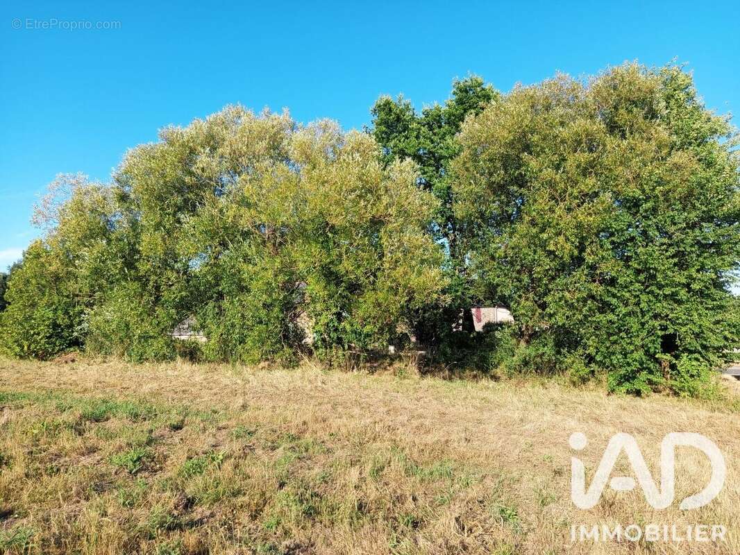 Terrain 1180 m² à Les Iffs  - photo 3
