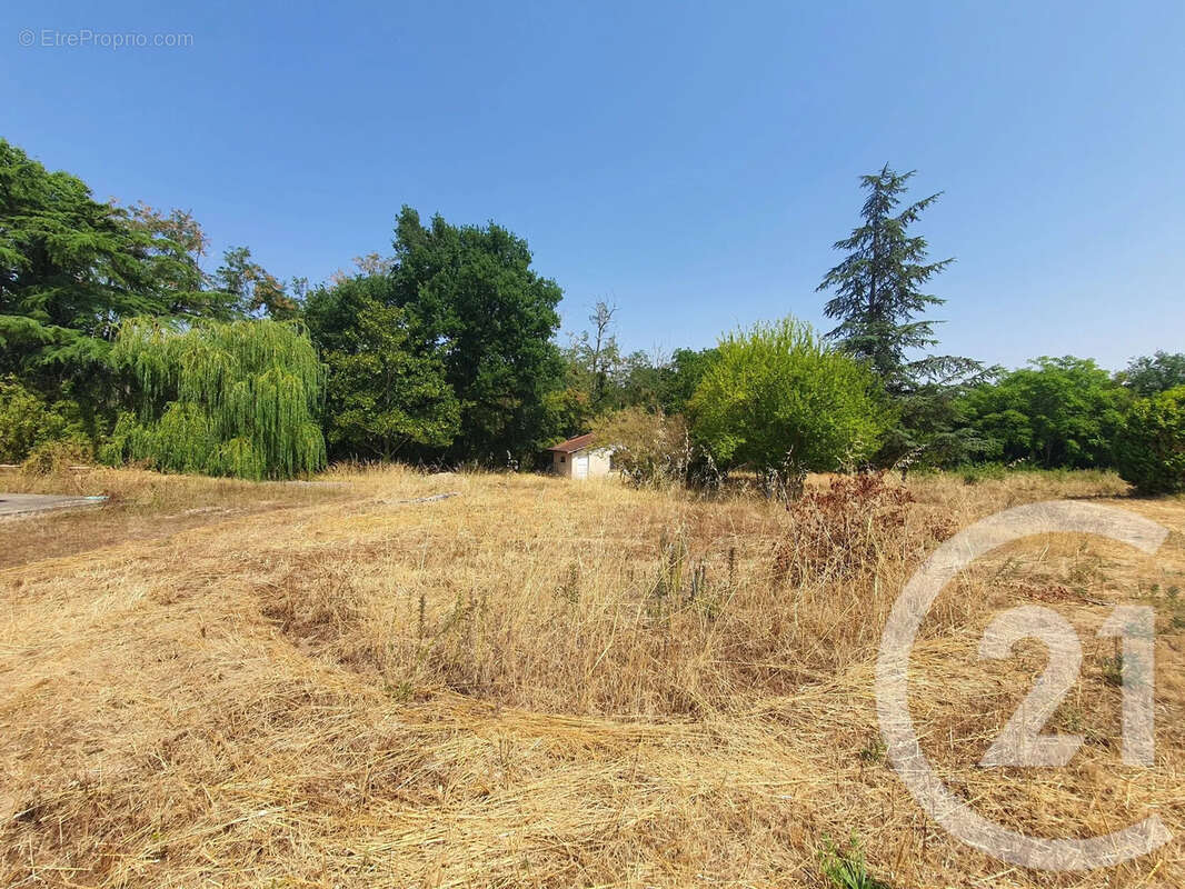 Terrain 850 m² à Montans  - photo 6
