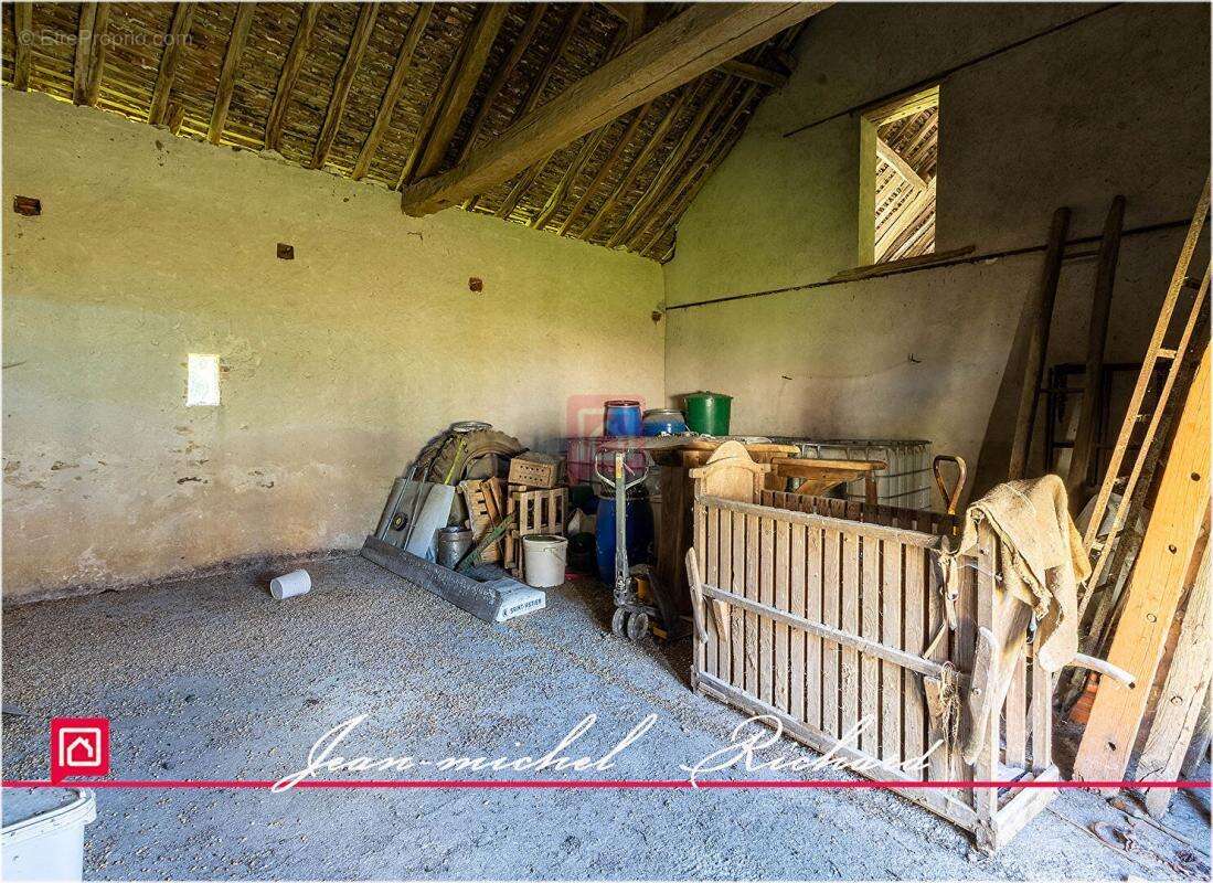 Propriété de chasse Sologne 42 hectares - photo 5