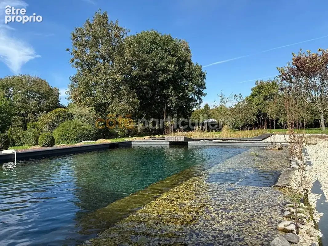 Angey, Demeure de charme familiale 216m2 ,5 chambres ,Parc arboré & bassin naturel - photo 3