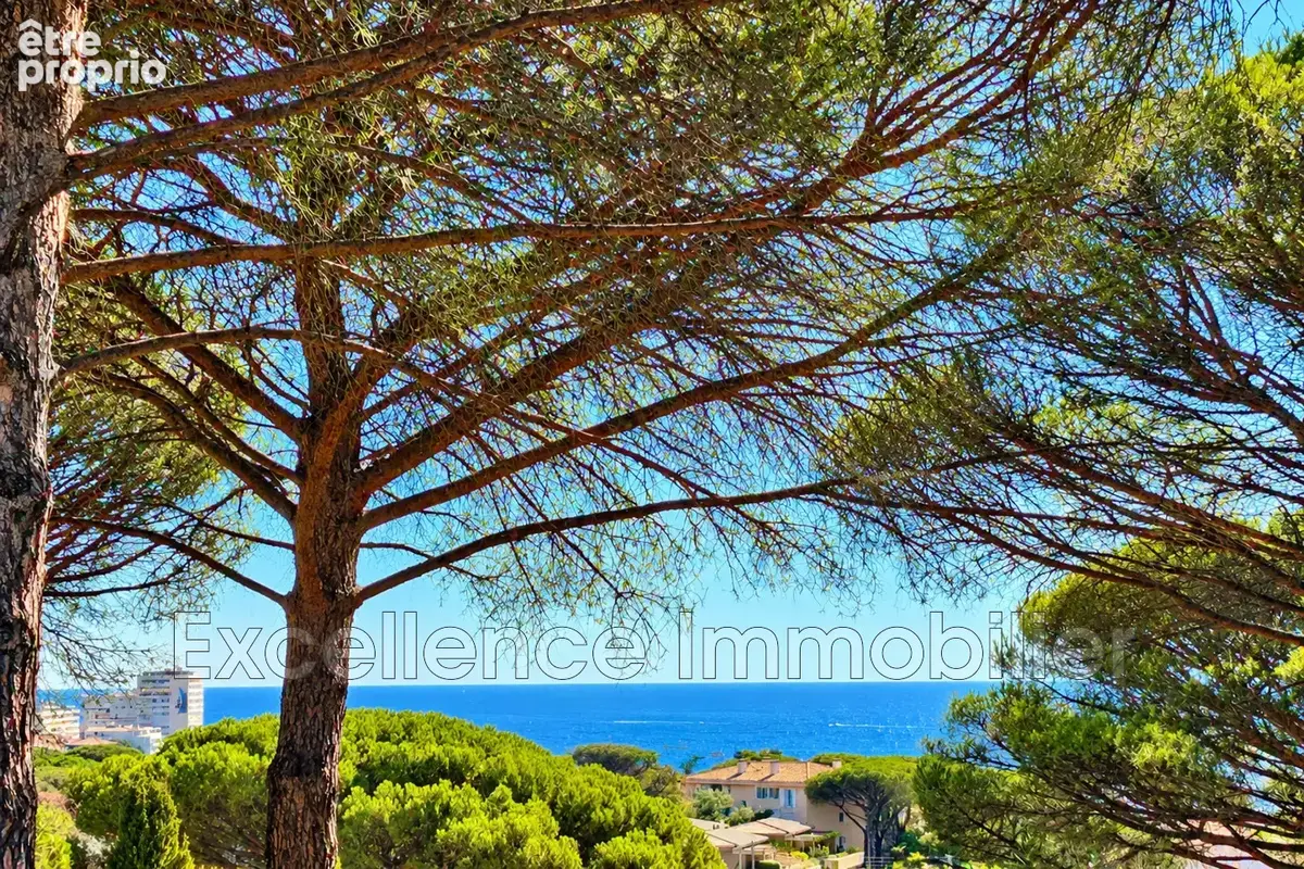 Maison 8 pièces 220 m² à vendre à Sainte-Maxime (83120) - photo 3
