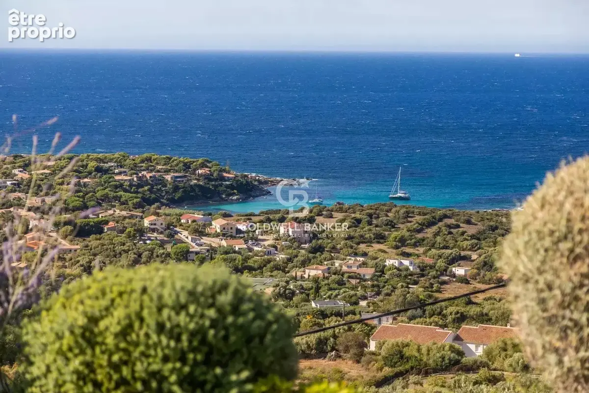Corbara - Villa d'architecte - vue d'exception - photo 5