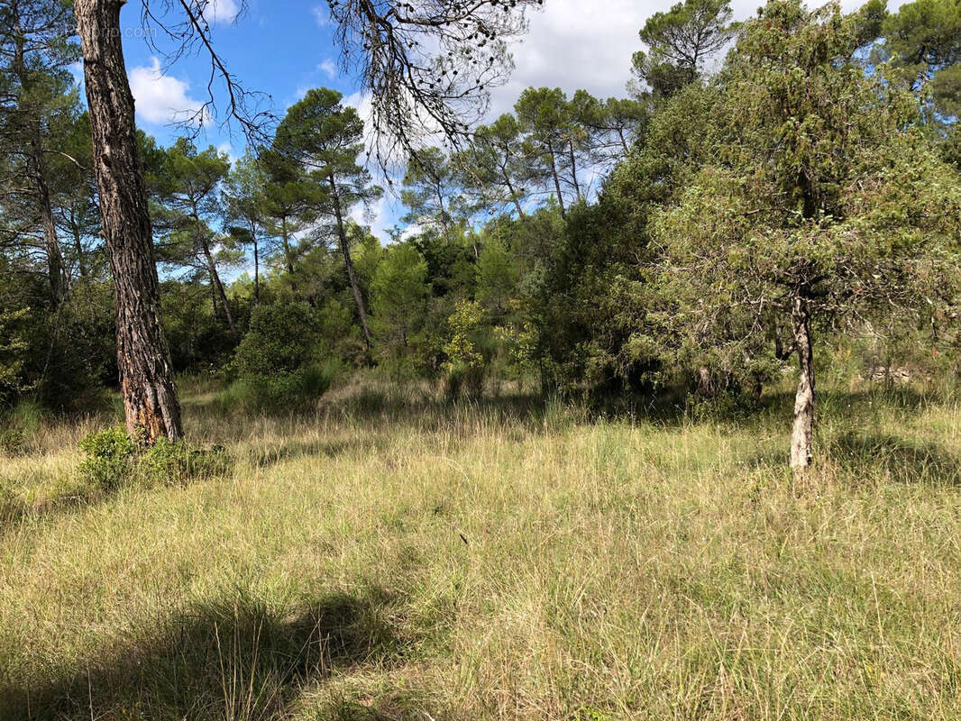 Propriété avec dépendances et vue montagne à Barjols - photo 42