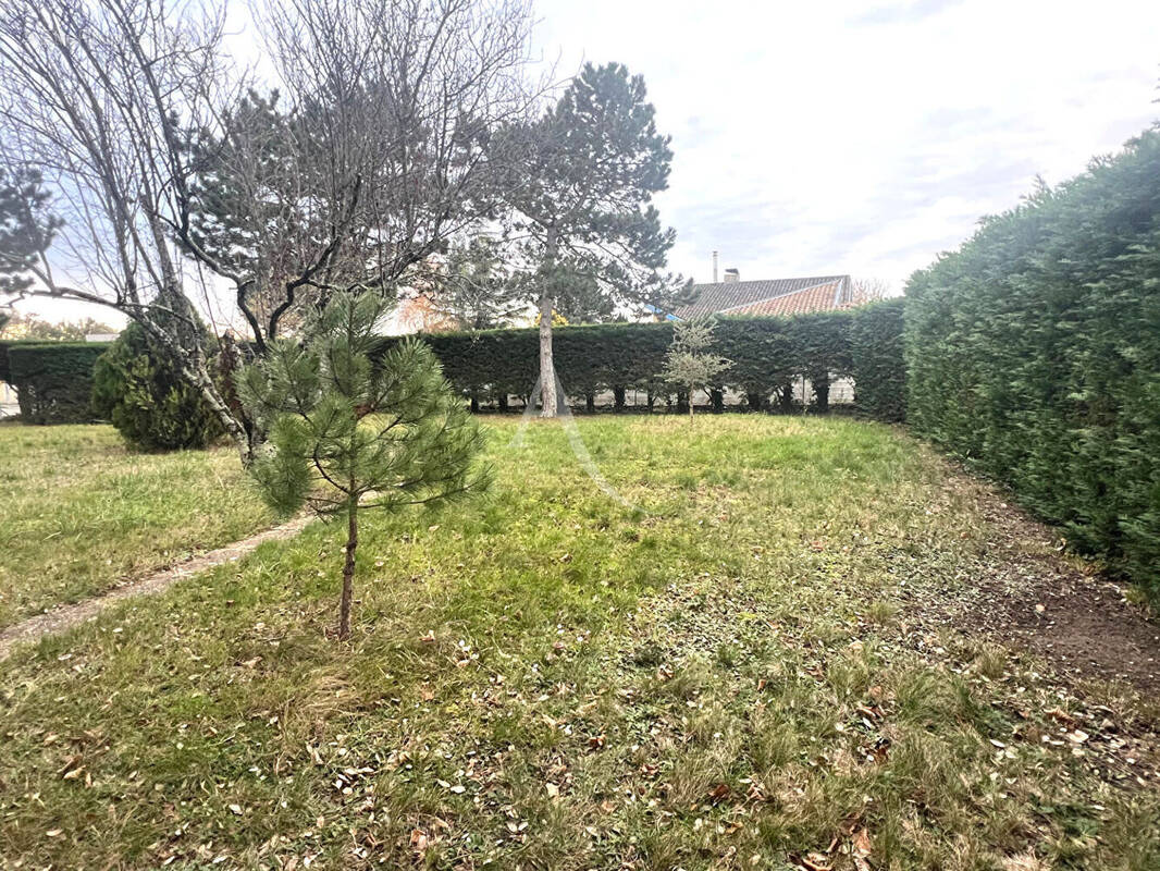 Terrain à SAINT-LOUP-CAMMAS