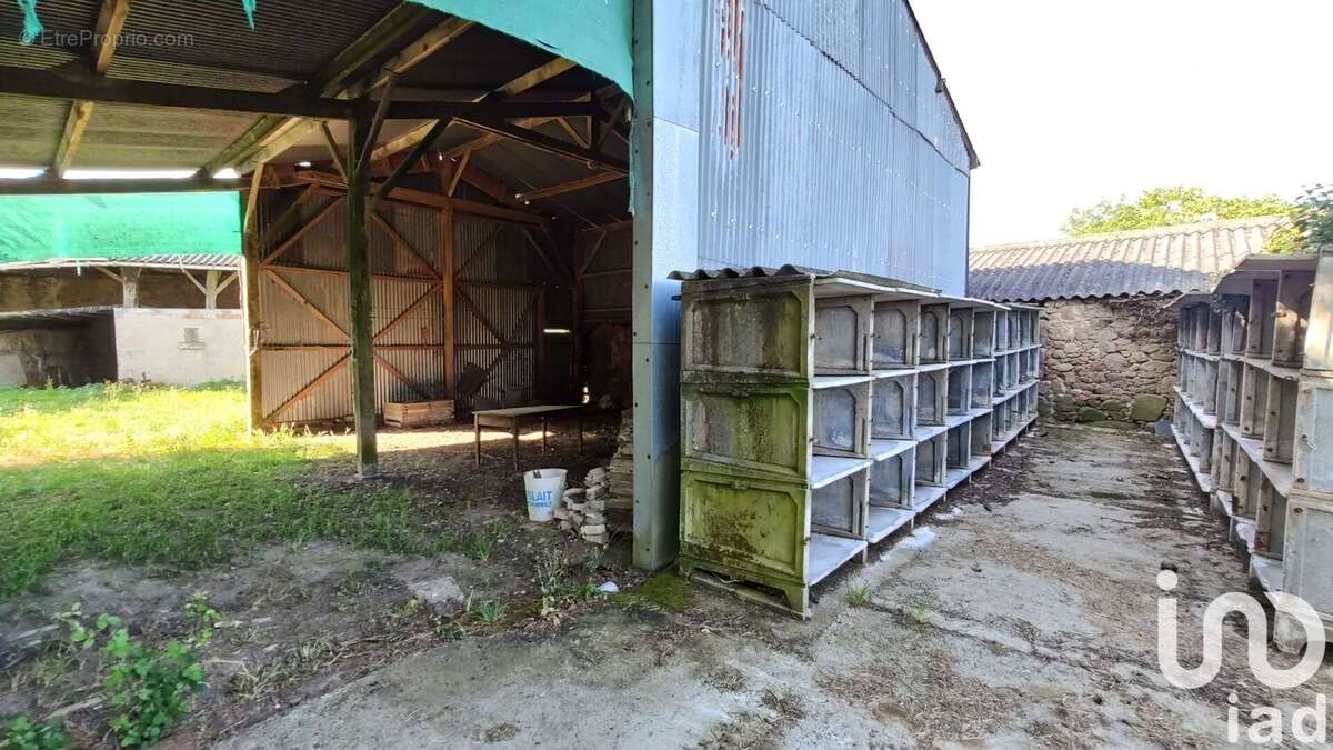 Photo 6 - Maison à MAULEON