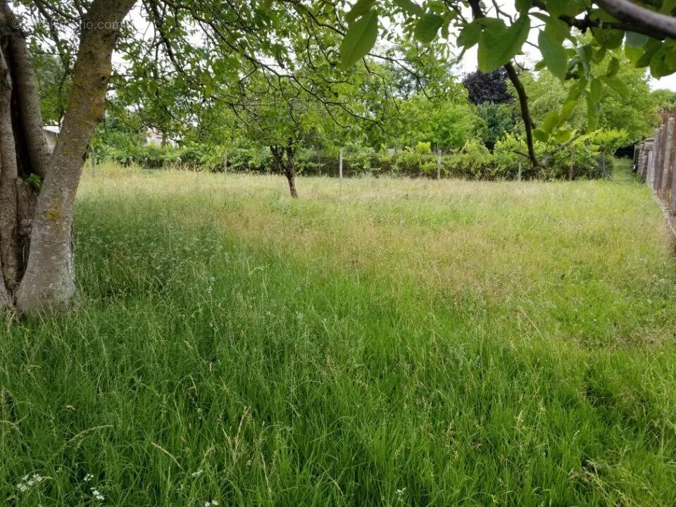 Terrain à BARBEZIEUX-SAINT-HILAIRE