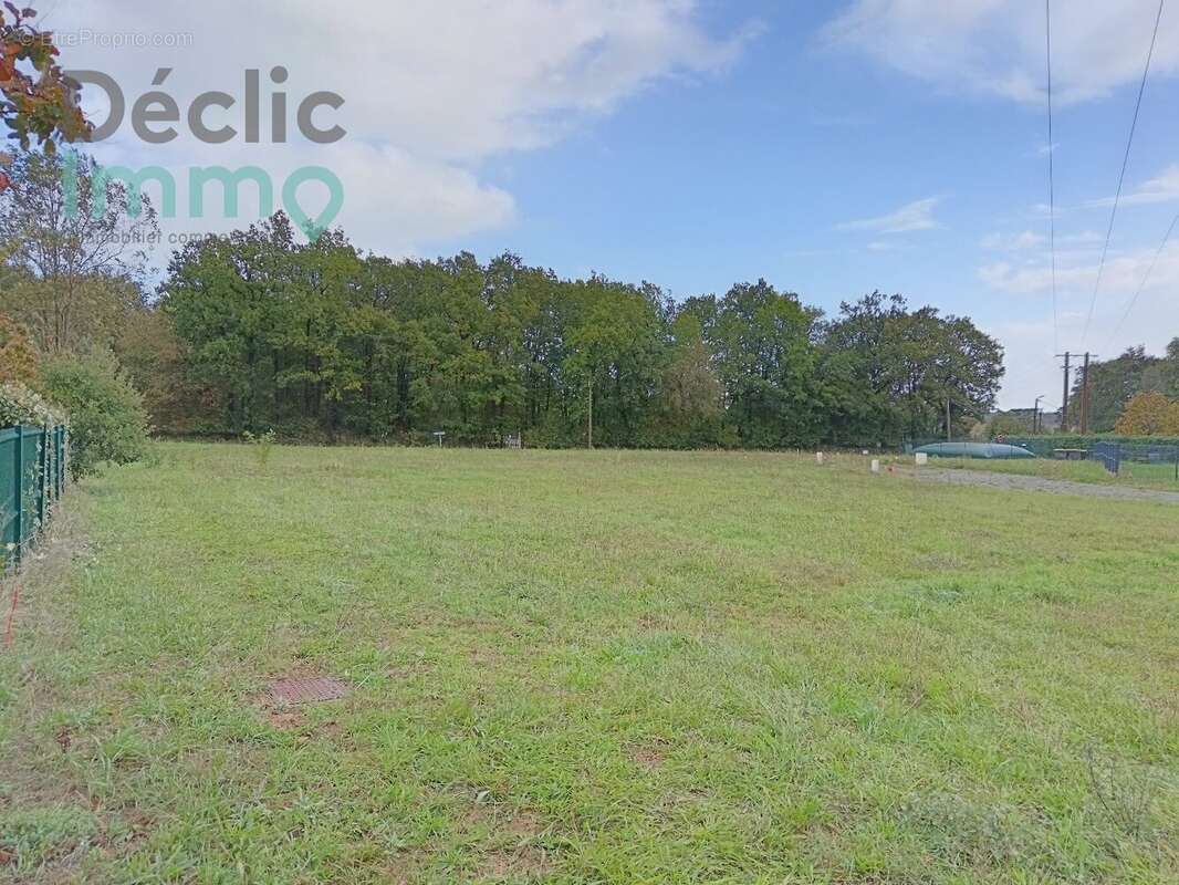 Terrain à TAILLEBOURG