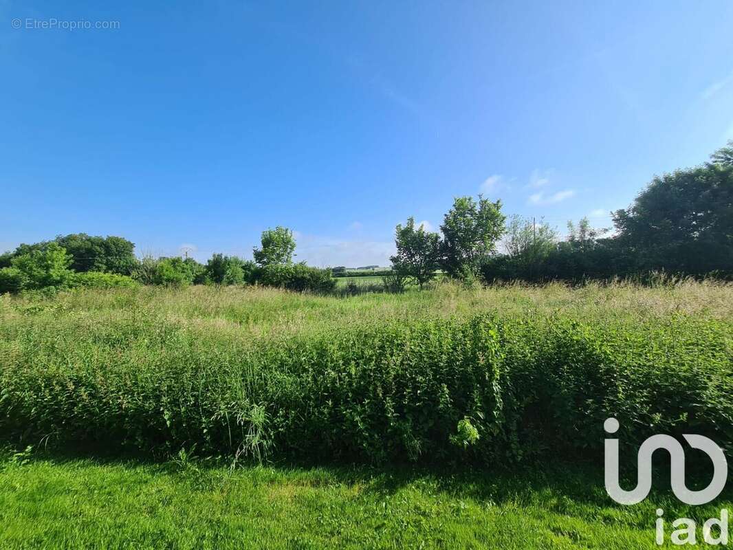 Maison 181 m² à Massac  - photo 4