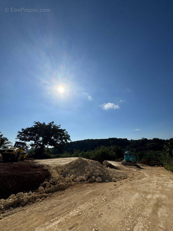 Terrain à PETIT-BOURG