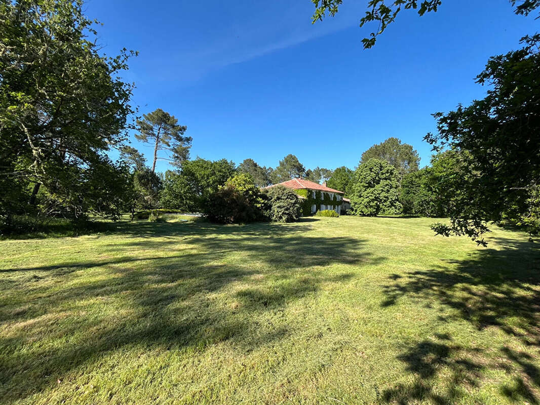 Maison à SAUGNACQ-ET-MURET