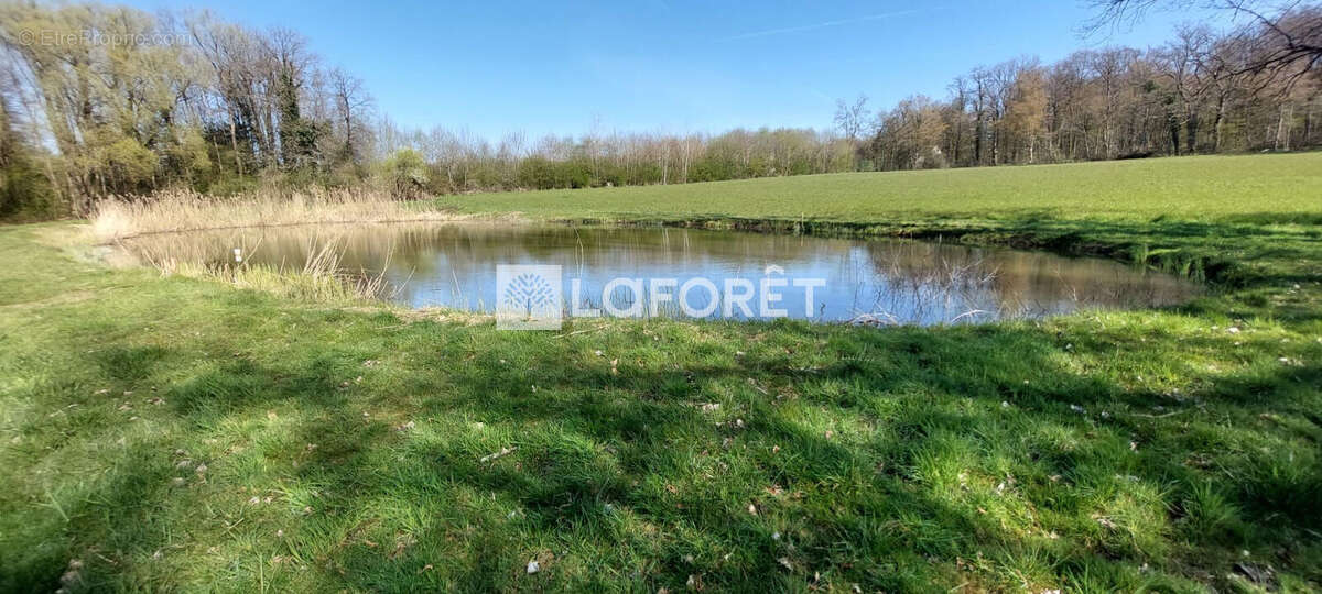 Terrain à GRANDVILLARS