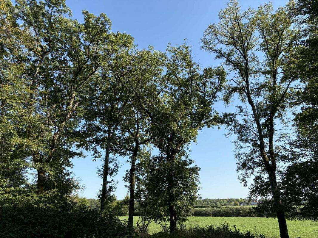 Terrain à NEUILLAY-LES-BOIS