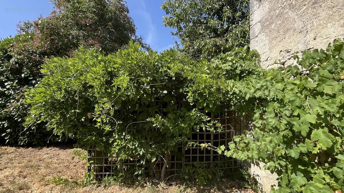 Maison 3 chambres, Cravant - photo 8